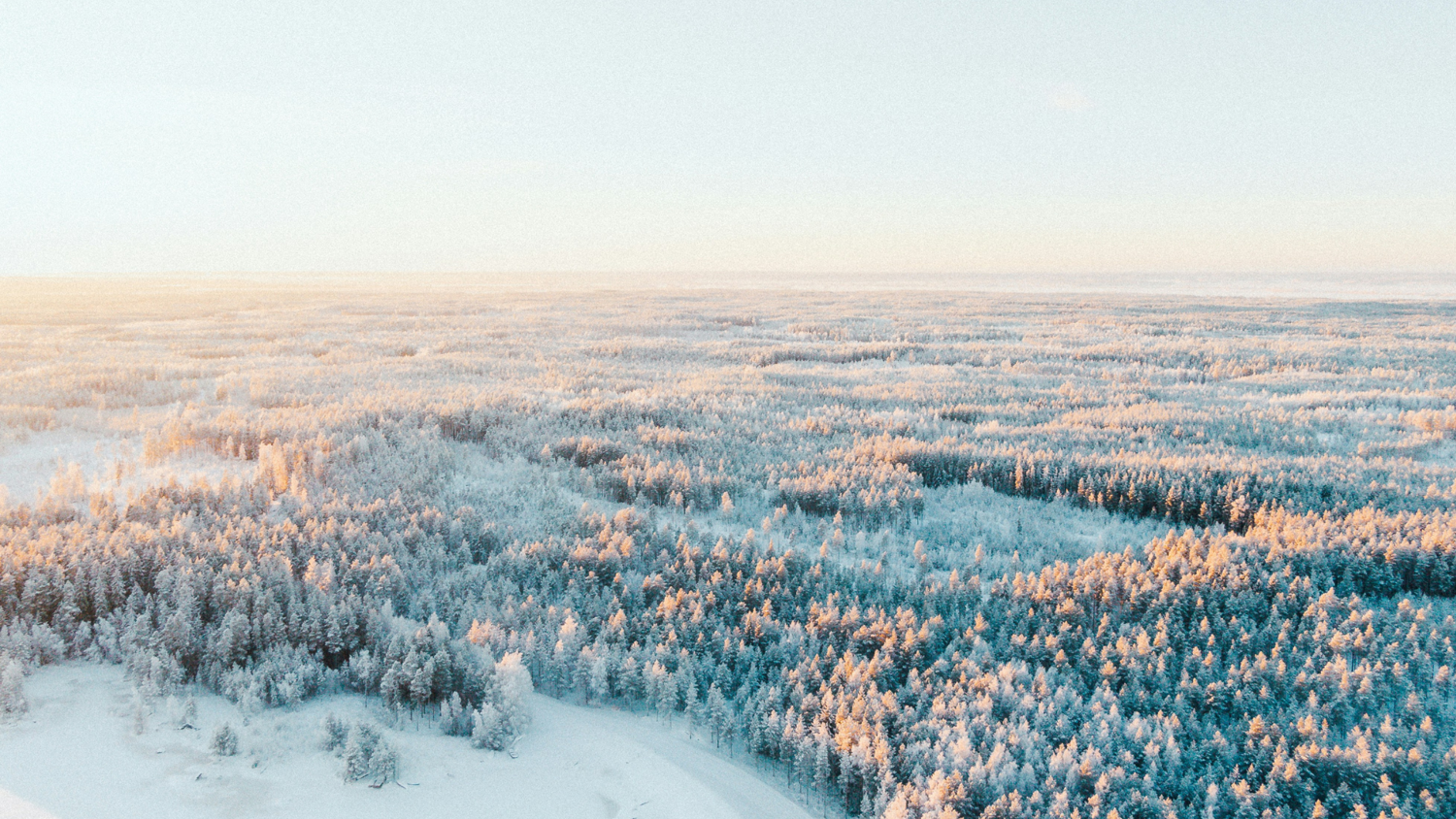 Aerial view of a vast snow-covered forest landscape under a clear sky. The trees are dusted with snow, and the sunlight casts a warm glow over the scene, creating a serene and tranquil atmosphere.