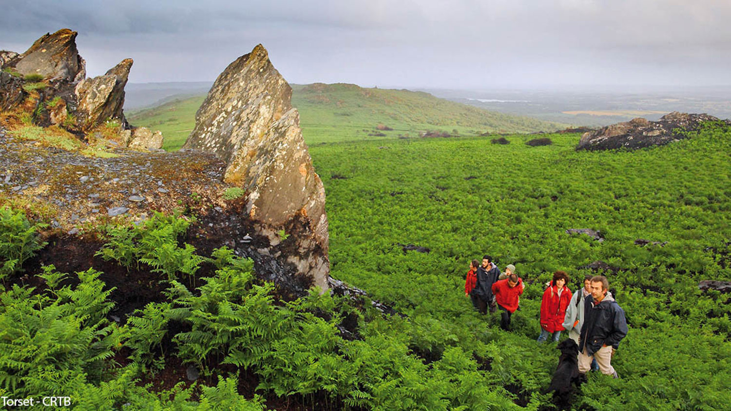 A group of people in outdoor clothing and a dog hike through a lush green landscape with rocky outcrops. The sky is overcast, adding a dramatic backdrop to the vibrant scenery. The terrain is covered with ferns and overlooks distant hills.